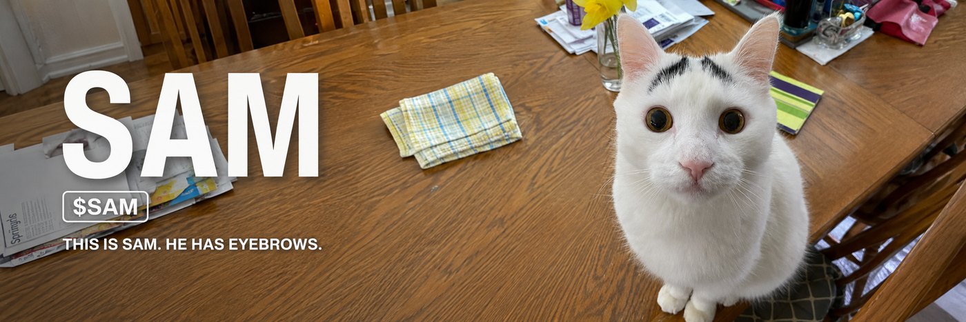 The SAM banner: Sam, a white cat with black eyebrow-shaped markings, sitting on a sunlit oak dining table and looking up at the camera, beside the wordmark SAM, the ticker $SAM and the line “This is Sam. He has eyebrows.”